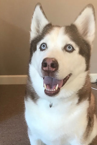 Thor.JPEG