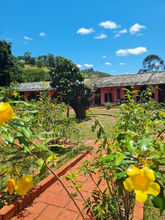 Jardim