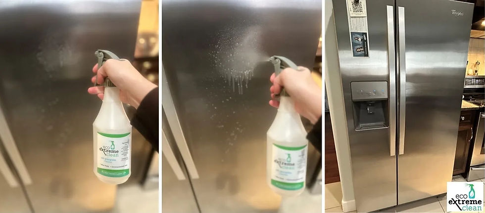 Stainless Steel Fridge Before & After