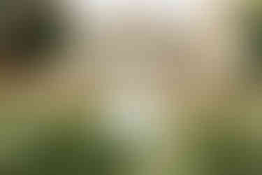 scéne créative avec marié en plein centre et demoiselle d'honneure flou, lifestyle mariage lyon