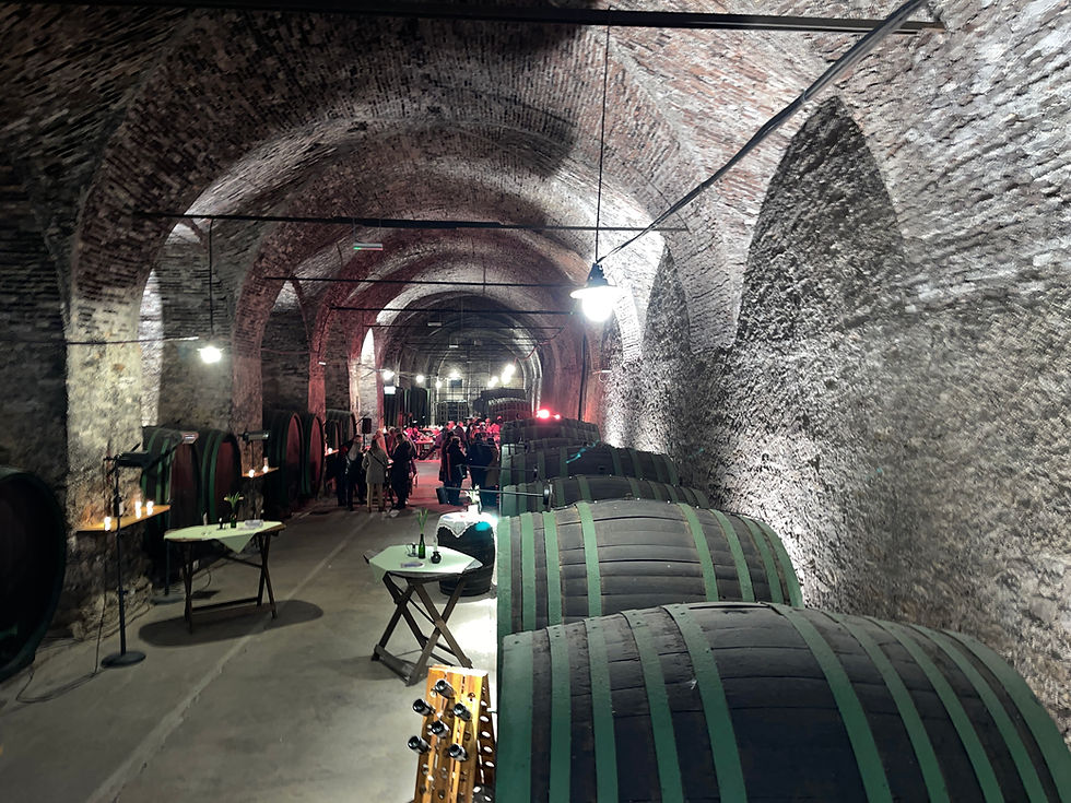 Im herrlichen Ambiente des rund 340 Jahre alten barocken Weinkellers schmeckten die jungen Tropfen noch besser.