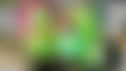 Leibnitzer Blühfleckerl – wer gärtnert mit?