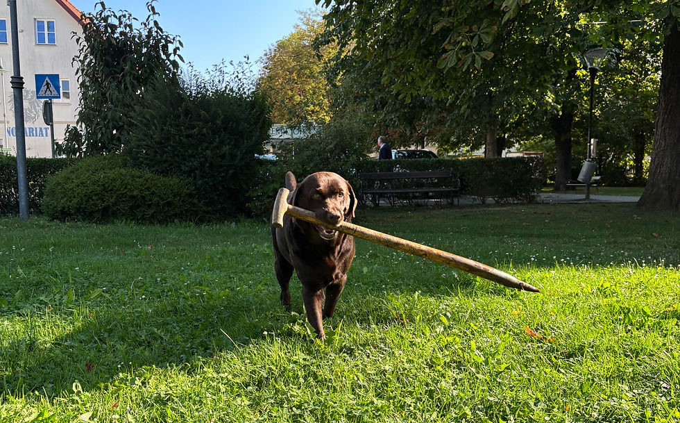 Alles im Griff - Baustellenaufsicht Bella