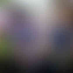 Impressionen der Jubiläumsfeier: ÖWG Wohnbau feiert 75 Jahre