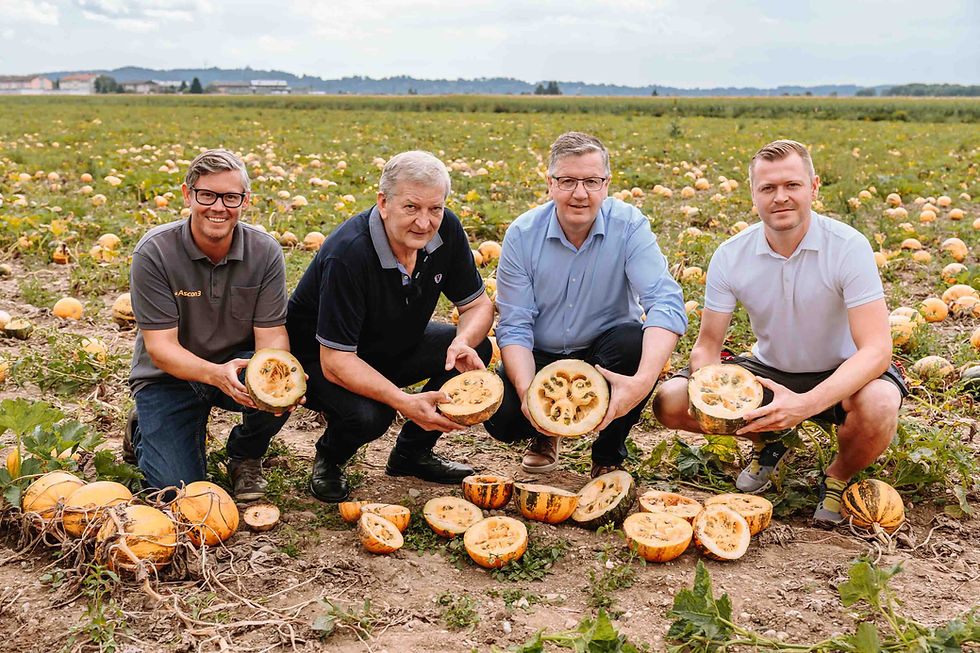 Präsident Andreas Steinegger (2.v.r.) betont: Beize hat viele Kürbispflanzen gerettet. Im Bild mit Jungbauern Michael Konrad (rechts), Obmann Franz Labugger (2.v.l.) und Ascon 3 Geschäftsführer Bernhard Pfeiffer (links)