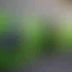 Impressionen der Jubiläumsfeier: ÖWG Wohnbau feiert 75 Jahre