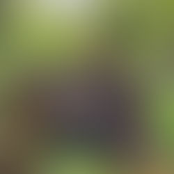 Fit im Schritt am Weinweg der Sinne