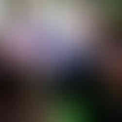 Impressionen der Jubiläumsfeier: ÖWG Wohnbau feiert 75 Jahre