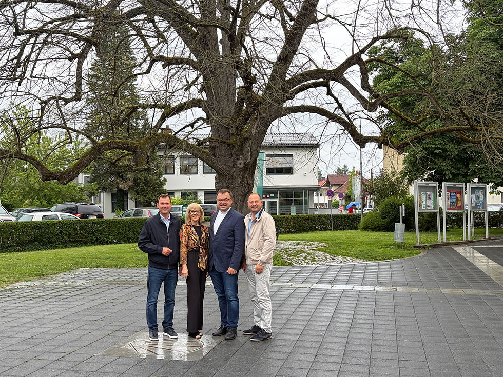 Ein Abschied mit Würde: Leibnitz verabschiedet sich von seiner historischen Stadtlinde