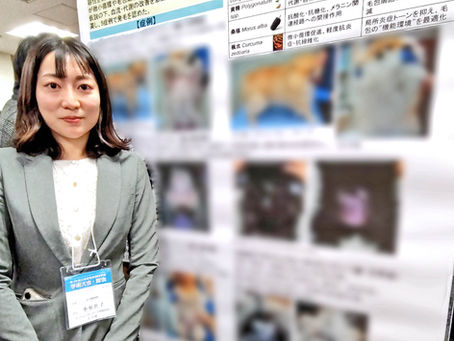 学会発表のご報告