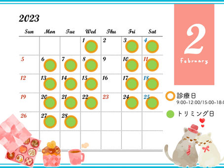 2023年2月診療日のお知らせ