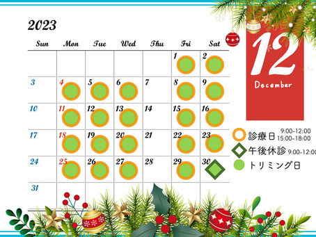 2023年12月診療日のお知らせ