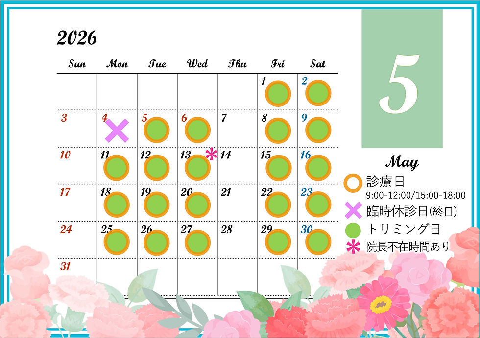 2026年5月診療日のお知らせ
