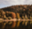 unsplash-image-J_GHee2h9WQ_edited.jpg
