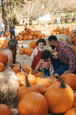Dallas Autumn at the Arboretum family photography photographer