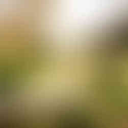 Waterford Castle wedding in autumn 