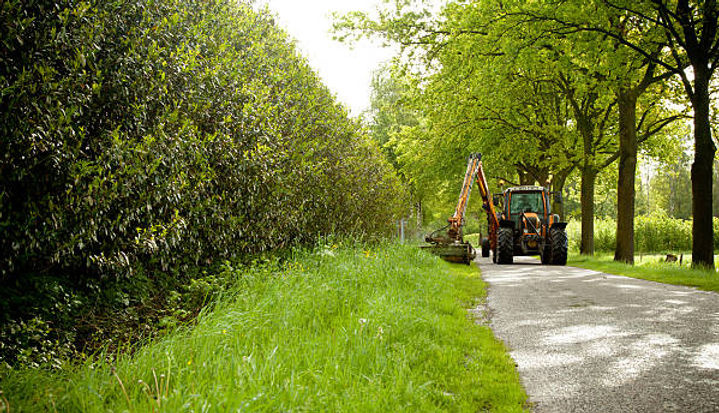 istockphoto-530631285-612x612.jpg