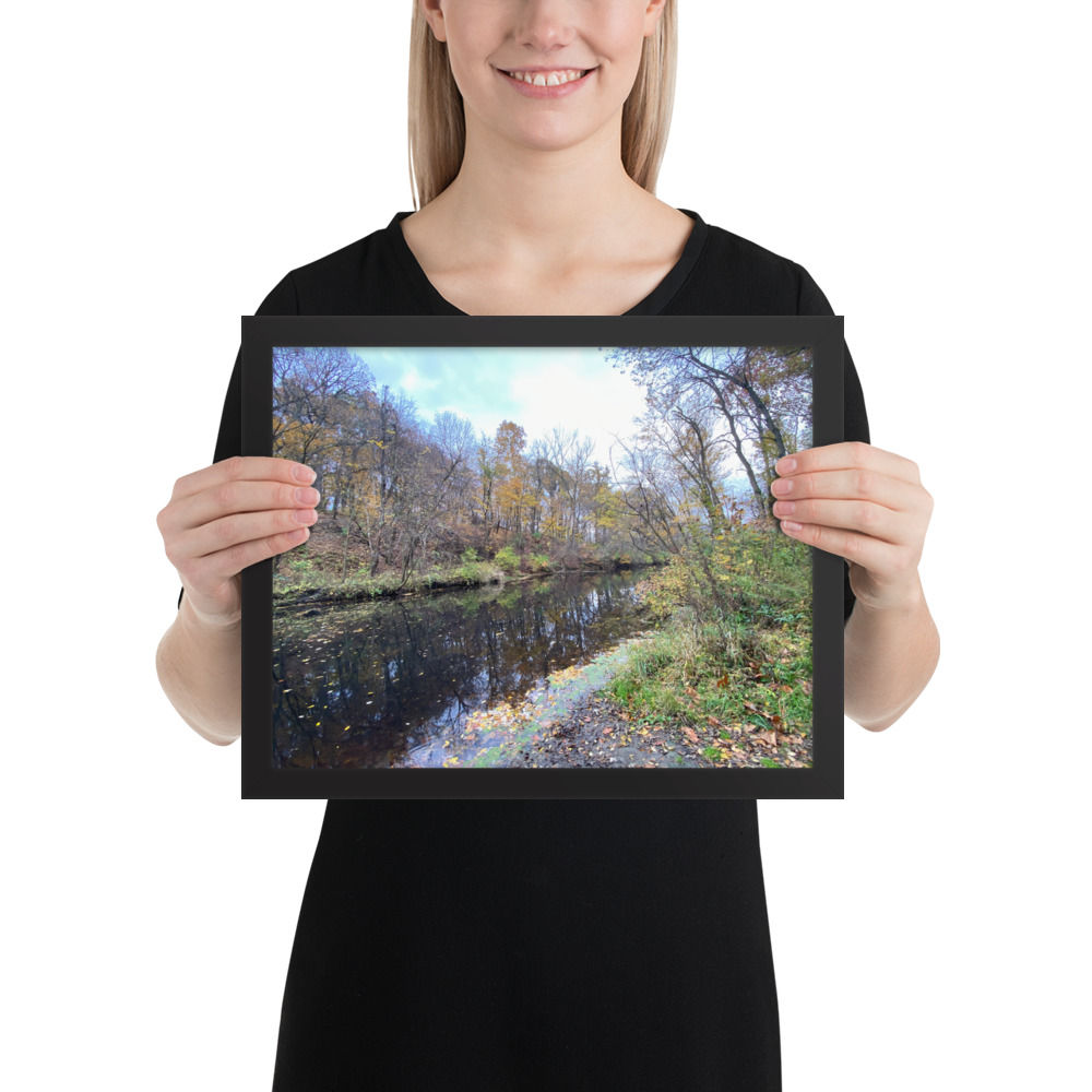 Framed photo paper poster