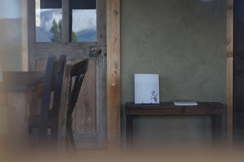 道すがら 津森絵理子 erico tsumori