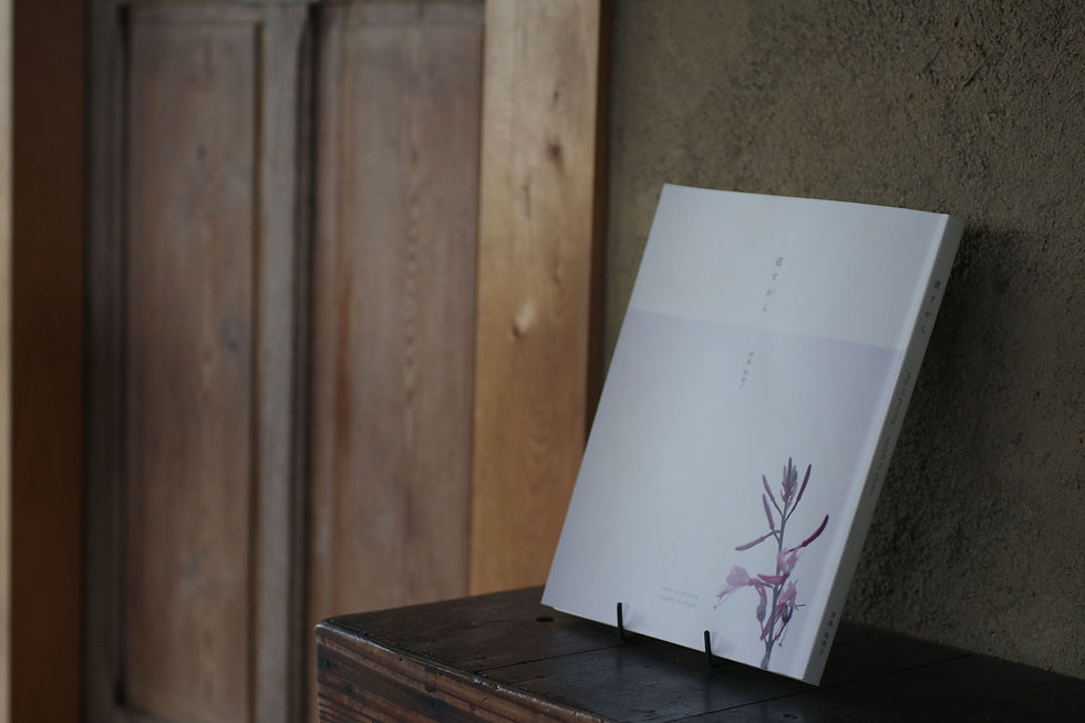 道すがら 津森絵理子 erico tsumori 駒ヶ根 森の詩