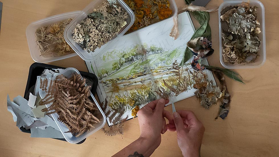 Looking down on Kate Aggett working with bracken in sketchbook