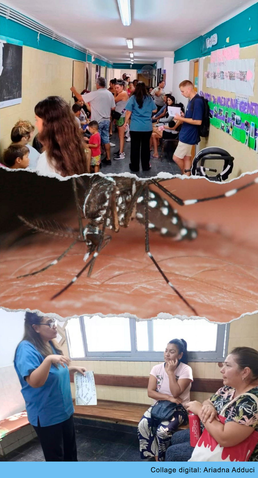 ree