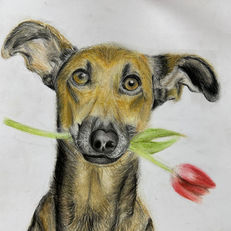 ליאור אורון