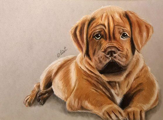 ציירה ליאת גלר