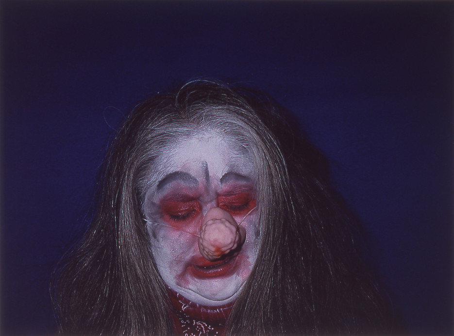 steelink_rodeo_clown_III_down_img153 .jp