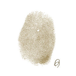 Brandon's Thumbprint