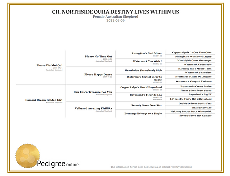 pedigree rebelle.png