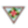 Girl Scout Brownie and Junior- Shapes in Nature Badge