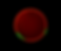 Snap-5267.png