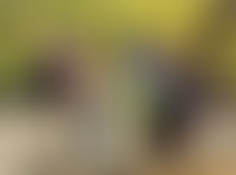 高尾山デイキャンプ