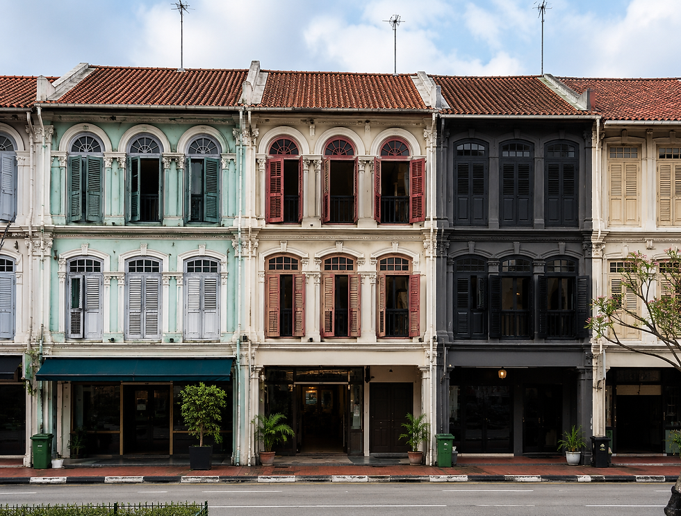 shophouse hotel conversion singapore