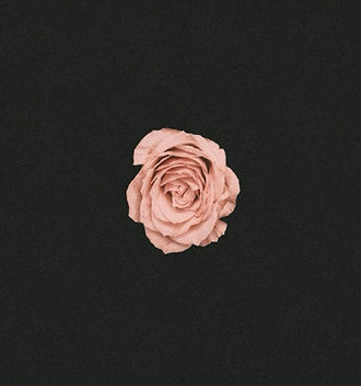 Image-empty-state_edited_edited.jpg