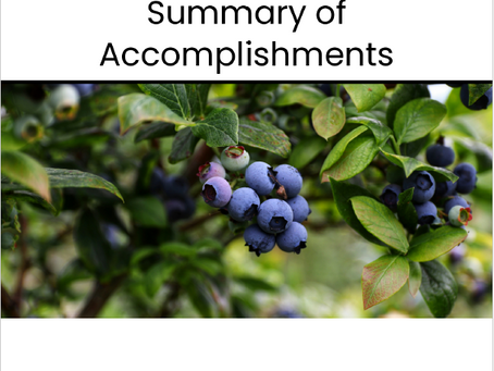 2024 Summary of Accomplishments