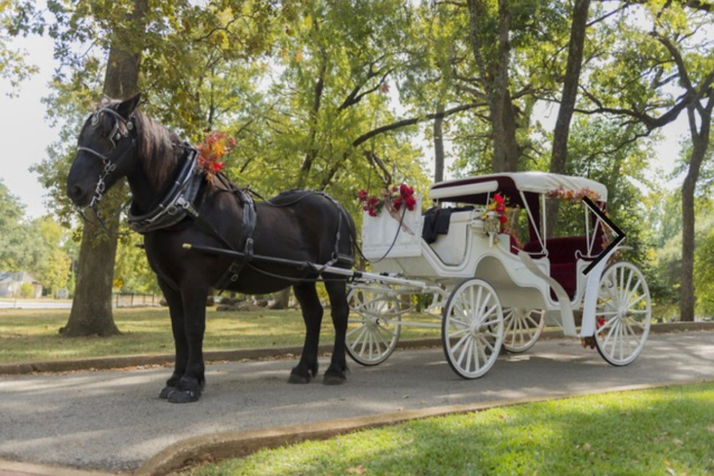 Wedding Theme