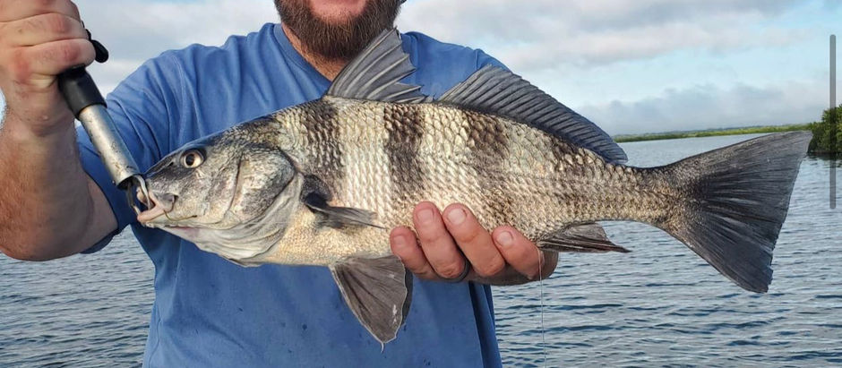 Fishing with Your Local Fishing Guide