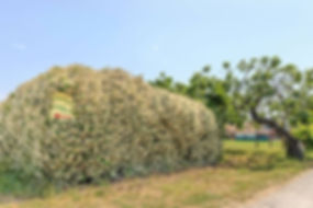 ingresso-area-sosta-camper-attrezzata-mi