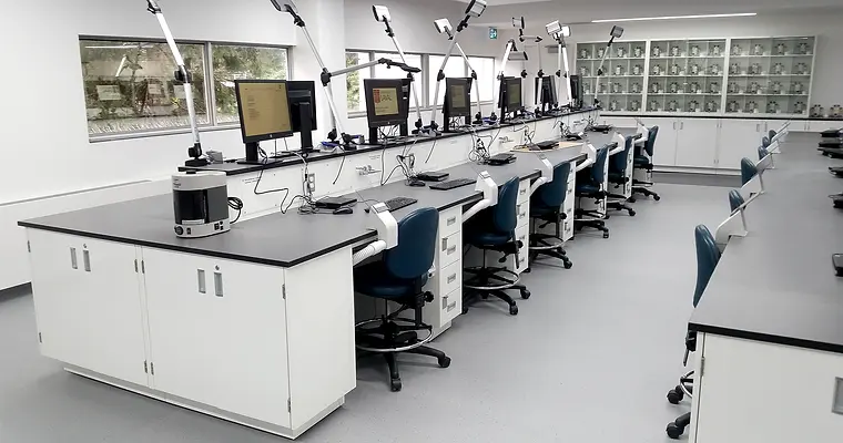 Médecine dentaire U-Laval