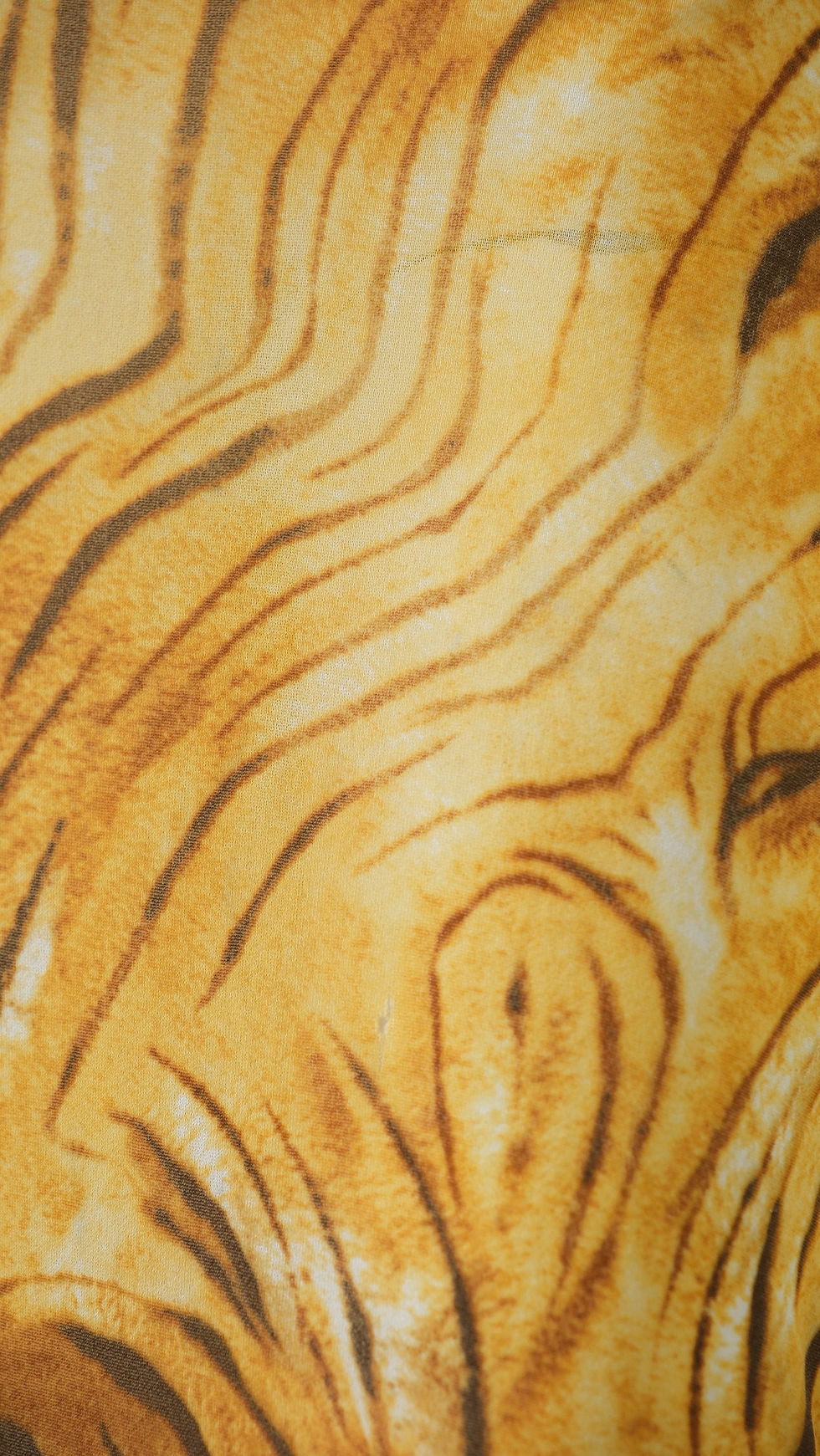 Thumbnail: Roberto Cavalli Class Tiger Print Set 2000s