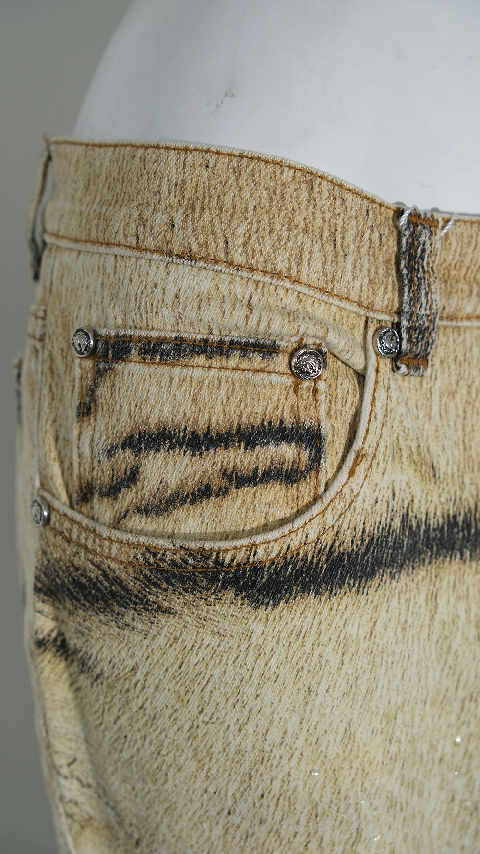 Thumbnail: Roberto Cavalli  Zebra Savage Beige Pants 2000s