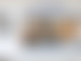 Vernissage "Reste(s)", Nathan Lopez Romero