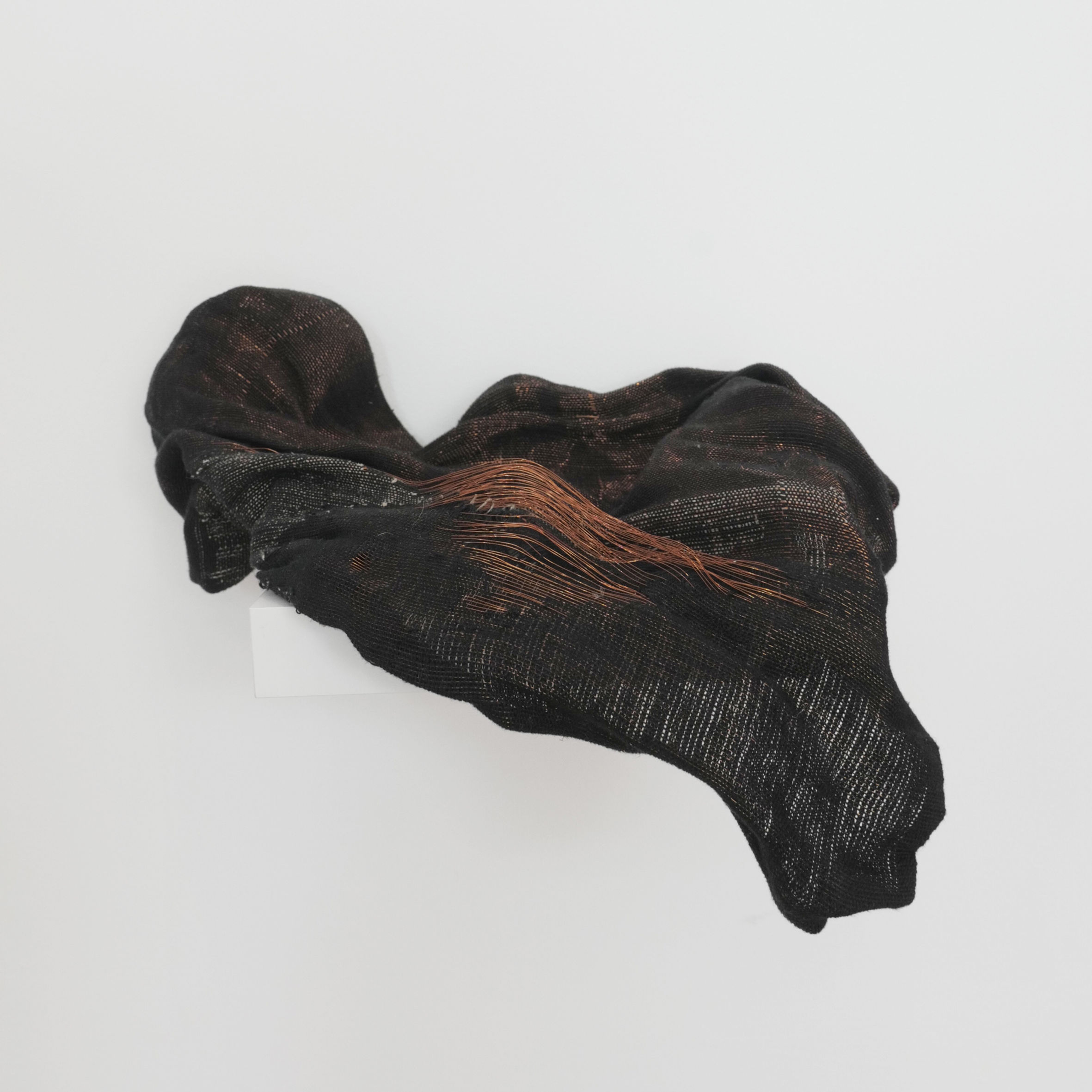 Le jour quantique // Amanda Goicovic