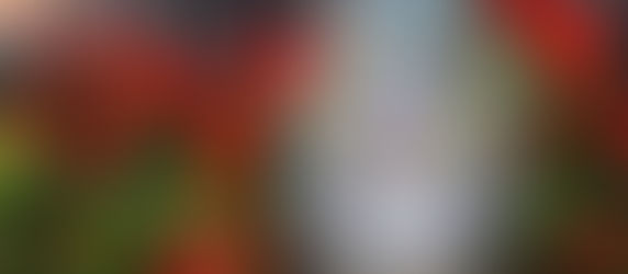 9 DIY Disney Themed Gift Baskets for Every Occasion