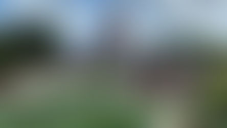 5 Things You Need To Do Before Arriving At Your Disney Resort