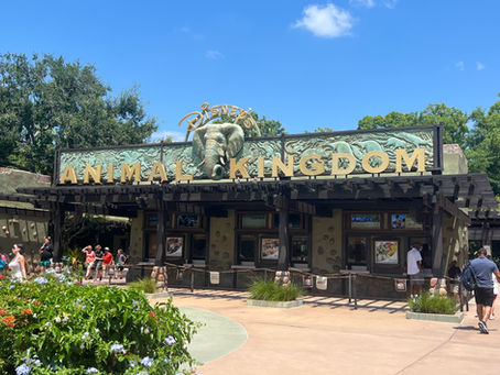 Animal Kingdom