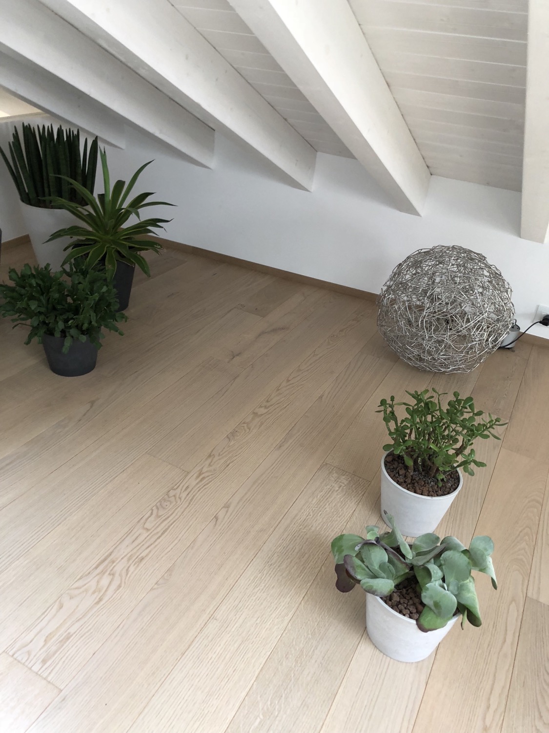 Dettaglio parquet