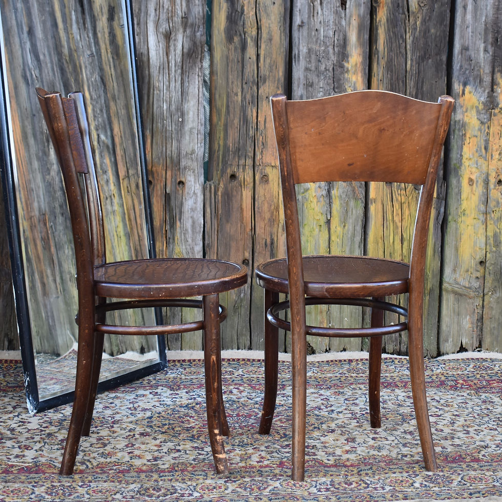 Thumbnail: Antique 1920s Thonet Model 255 Croc Reptile Embossed Beech Bentwood Chair Pair